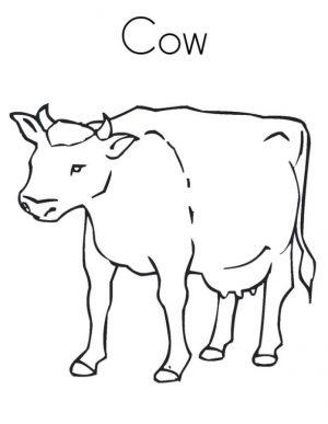 Cow Animal Coloring Pages C Is for Cow