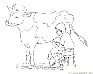 Cow Animal Coloring Pages Young Boy Milking a Cow