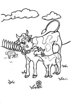Cow Coloring Pages Free Printable Mother Cow Nurturing Her Calf