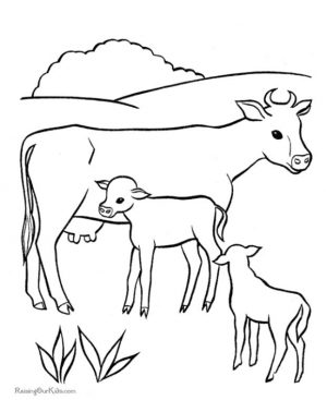 Cow Coloring Pages Printable Mother Cow and Her Calves