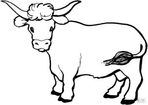 Cow Coloring Pages to Print Cow Drawing for Toddlers