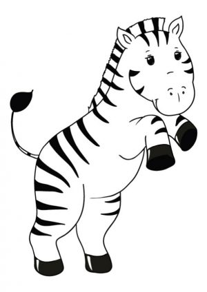 Cute Zebra Coloring Pages bby5