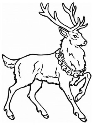 Deer Coloring Pages Free Printable Santas Deer Is Very Proud