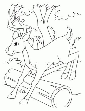 Deer Coloring Pages Online Baby Deer Jumping over a Log