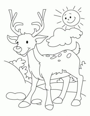 Deer Coloring Pages Online Cartoon Deer Drawing for Toddler