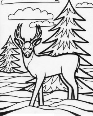 Deer Coloring Pages for Kids Deer Drawing Printable