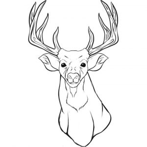Deer Coloring Pages for Kids Deer Head