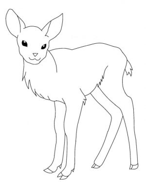 Deer Coloring Pages to Print Cute Baby Deer