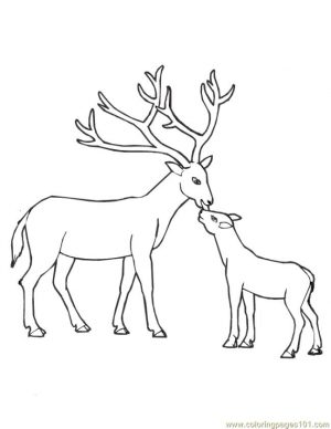 Deer Coloring Pages to Print Deer Mom and Her Baby