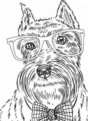 Dog Coloring Pages for Adults Dow Wearing Glasses and Bow Tie