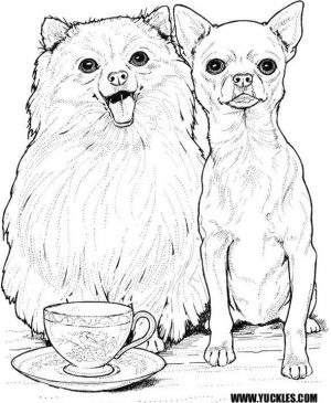 Dog Coloring Sheets for Grown Ups Chihuahua with Her Best Friend Cat