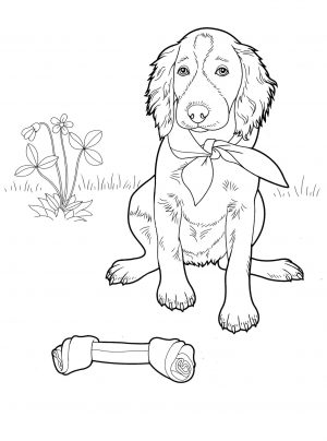 Dog Coloring Sheets for Grown Ups Realistic Dog Drawing with Her Toy