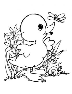 Duck Coloring Pages Baby Duck and Dragonfly