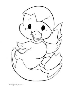 Duck Coloring Pages Cute Duck Hatchling
