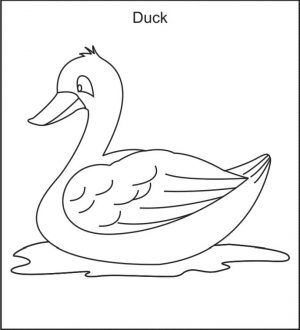 Duck Coloring Pages D Is for Duck