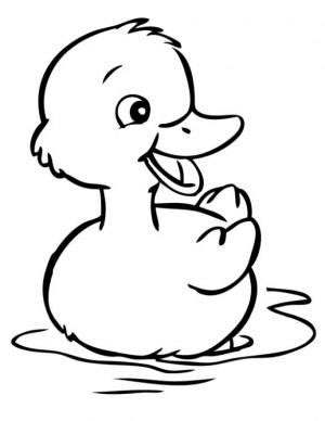 Duck Coloring Pages Duck Coloring for Kindergarten