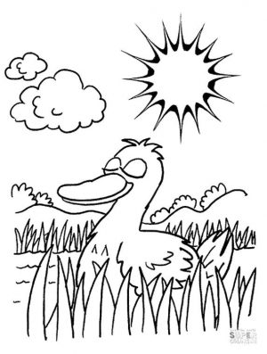 Duck Coloring Pages Duck Sunbathing in a Pond