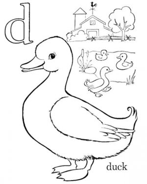 Duck Coloring Pages Farm Animal Printable