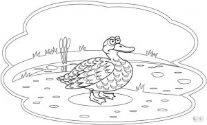 Duck Coloring Pages Grumpy Old Duck