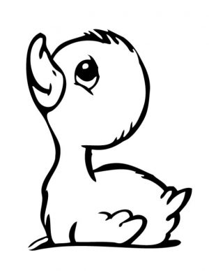 Duck Coloring Pages Simple Baby Duck Drawing