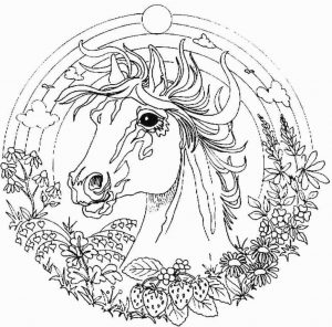 Fantasy Coloring Pages for Adults 6unc