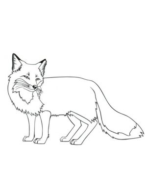 Fox Coloring Pages Free – 89xbs