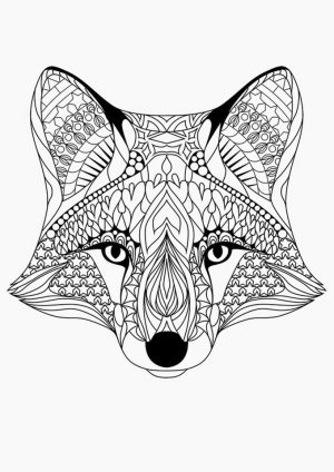 Fox Coloring Pages for Adults Printable – 91abn