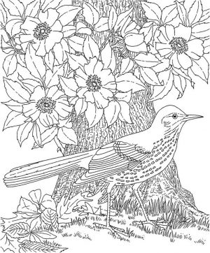 Free Adults Printable of Summer Coloring Pages – 67219