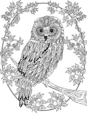 Free Owl Coloring Pages for Adults be27