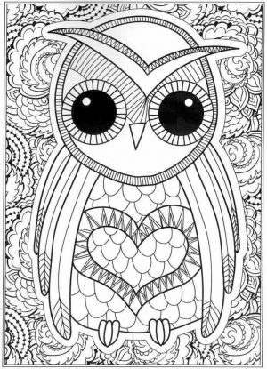 Free Owl Coloring Pages for Adults bo61