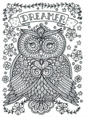 Free Owl Coloring Pages for Adults do16