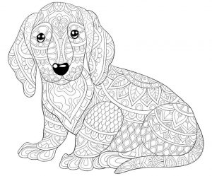 Free Printable Adult Coloring Pages Dog Cute Little Puppy Art