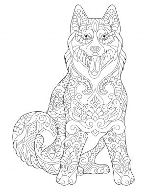 Free Printable Adult Coloring Pages Dog Husky Dog with Amazing Art Pattern
