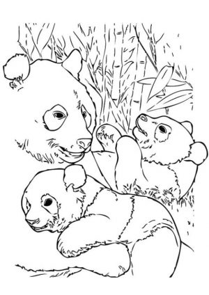 Happy Panda Family with Two Baby Panda Coloring Page