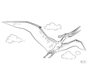 Jurassic World Coloring Pages Pteronodon 6pte