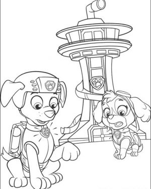 Kids Printable Paw Patrol Coloring Pages Zuma and Sky – 37194