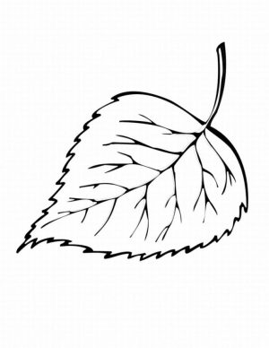 Leaf Coloring Pages Free to Print – ycve1