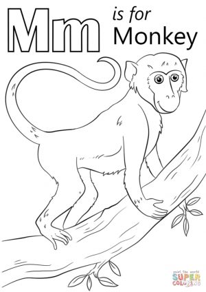 Letter M Coloring Pages monkey – yfg3m