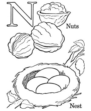 Letter N Coloring Pages Nuts – n381n