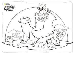 Lion Family Animal Jam Coloring Pages Free Printable 2lfm