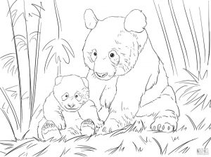 Mama Panda and Her Cub Coloring Pages