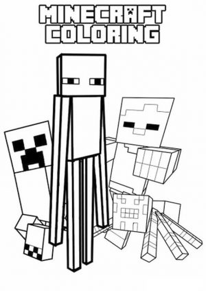 Minecraft Coloring Pages for Kids 3dgr