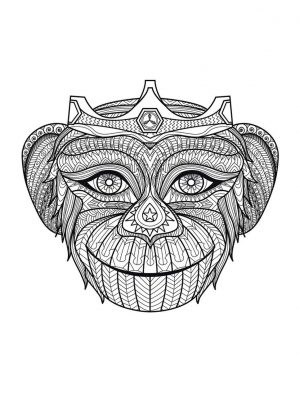 Monkey Coloring Pages for Adults – 067201