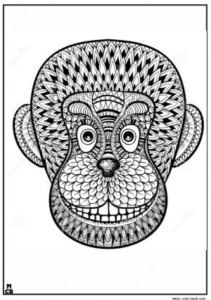 Monkey Coloring Pages for Adults – 31679