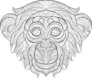 Monkey Coloring Pages for Adults – 60731