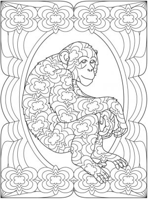 Monkey Coloring Pages for Adults – 93102