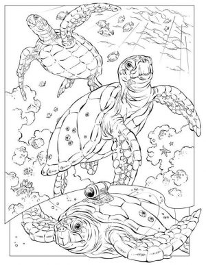 Ocean Coloring Pages for Adults A Group of Sea Turtles