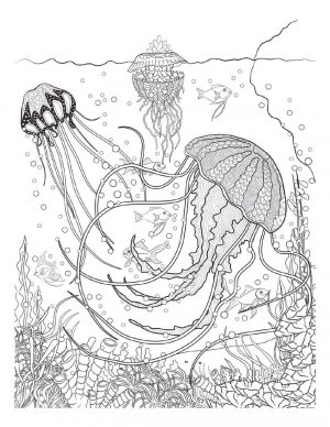 Ocean Coloring Pages for Adults Beautiful Jelly Fish Art