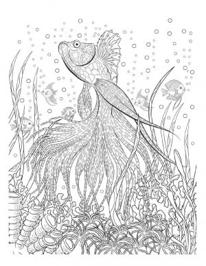 Ocean Coloring Pages for Adults Complex Fish Drawing