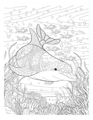 Ocean Coloring Pages for Adults Free Printable Drawing Dolphins Up Close